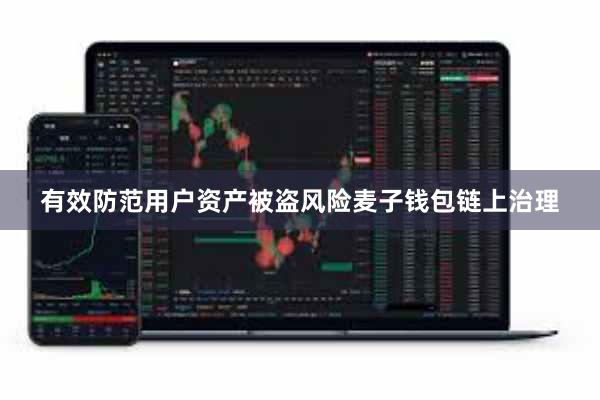 有效防范用户资产被盗风险麦子钱包链上治理
